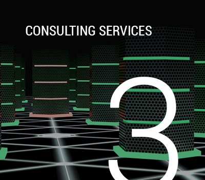 Consulting Services